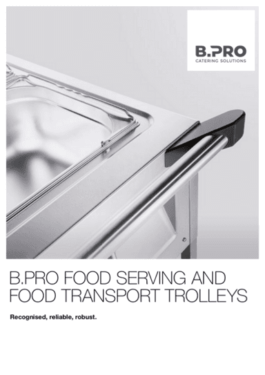 BPRO SAW-SAG-STW EN.pdf