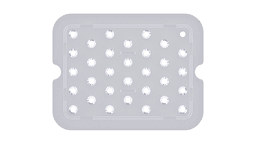 G-KELB_1-2_2_web.png
